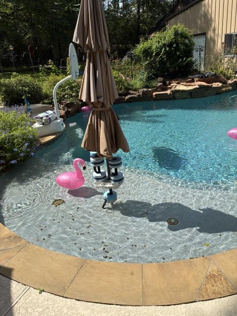 Before: leaves and debris scattered across the pool's shallow ledge